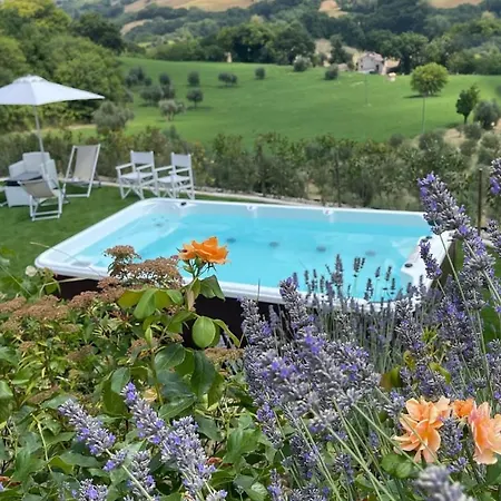 Le Cune, Olivaia - Ac, Pool & Jacuzzi Lejlighed Palazzo (Ancona)